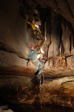 Thumbnail of photo from this article